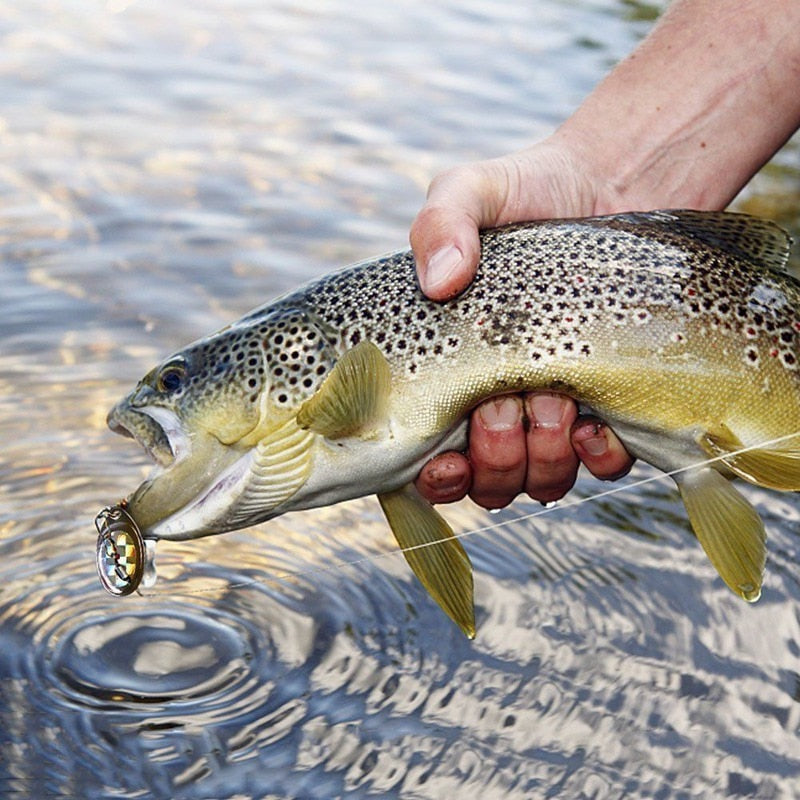 10/30 Pcs/set Spinner Kit