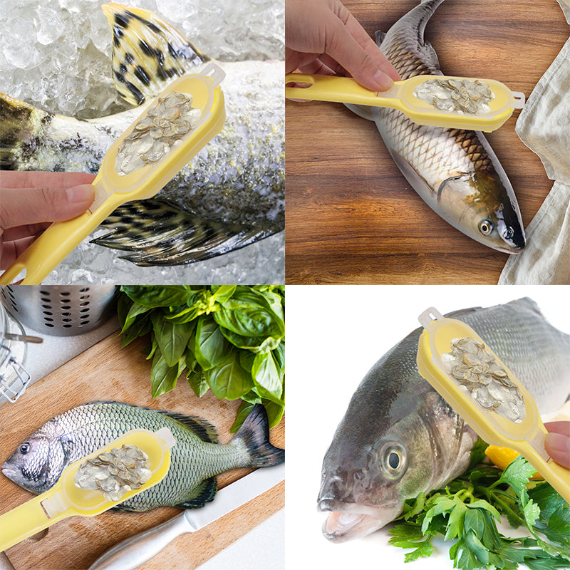 FishScaler Scraper